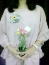 Img00423-20110820-2202_medium