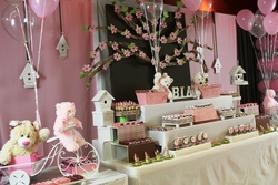 Festa_ursinhas_024_medium