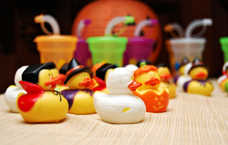 Dsc_0519_medium