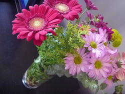 P1020105_medium