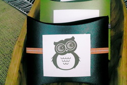 Owl_medium