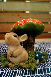 Bunny_medium
