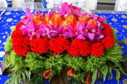 Dsc08703_medium