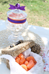 Citrus_theme_dreamersjoy_events___design__14__medium