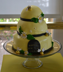 Faith_s_4th_bumble_bee_party_008_medium