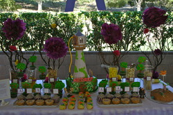 Img_8693_medium