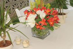 Tropical_30th_bday_dreamers_joy__7__medium