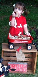 Img_0979_medium