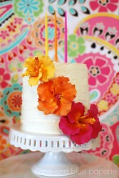 Anna_and_blue_paperie_dessert_table_cake__2__logo_medium