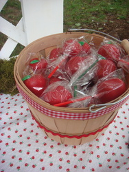 Dsc03631_medium