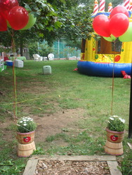 Dsc03638_medium