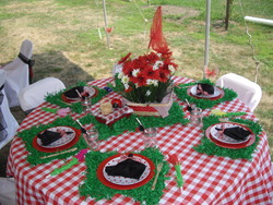 2011-08-06_adaline_s_party_decor_imgp5866_medium