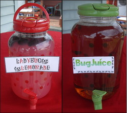 2011-08-06_ladybug_juice_01_medium