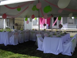 2010-08-07-adalines-party-decor-07-imgp1245_medium