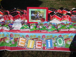 Dsc03432_medium