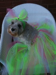 Parties__2011_161_medium