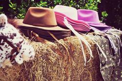 Cowgirl_chic__36__medium