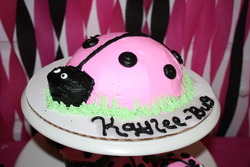 Kaylees_1st_birthday_372_medium