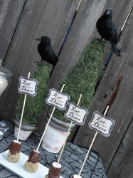 Halloween_photo_shoot_2011_053_medium