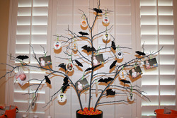 Img_0111_edited-1_medium