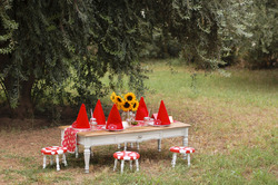Party3_medium