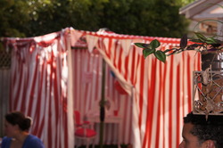 Dsc01794_medium