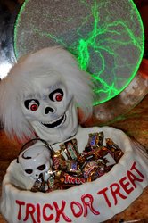 Dsc_0800_medium