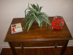 Dscn2524_medium