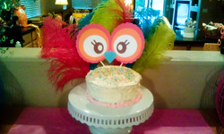 Imag0758_medium