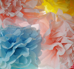 Close_up_pom_pom_medium