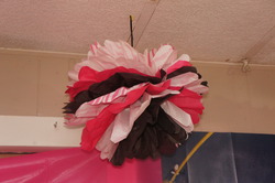 Dsc01871_medium
