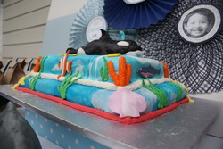 Dsc03028_medium