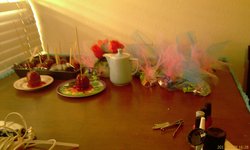 Imag0899_medium