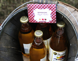 Apple_cider_medium