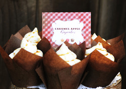 Cupcakes_medium