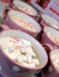 Mint_hot_chocolate_medium