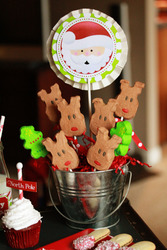 07_reindeers_medium
