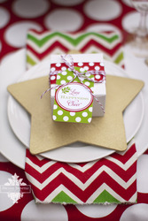 Christmas_wish-ablissfulnest_007_medium