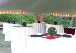 Img_5567tables-crop_medium