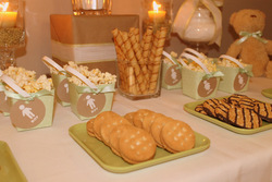 Mint_green___teal_gender_reveal_party_dreamers_joy_events___design-9_medium