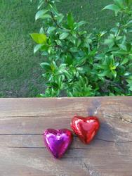 Dsc01316_medium