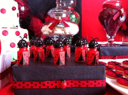 Stella_s_ladybug_theme_2812012_076_medium