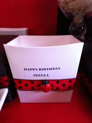 Stella_s_ladybug_theme_2812012_081_medium