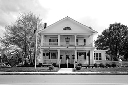 Dsc_0012_medium