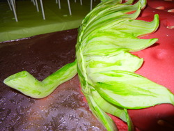 Picture_037_medium