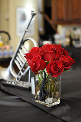 _dsc0123_copy_medium