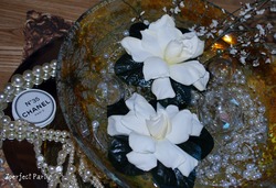 Zpp_cn35_gardenia1_medium