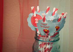 Elmo13_medium