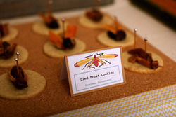 Insect_bug_dessert_table_birthday_bug_cookies_medium