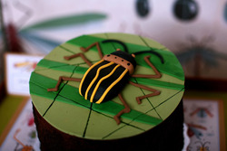 Insect_bug_dessert_table_birthday_cake_edible_details_medium